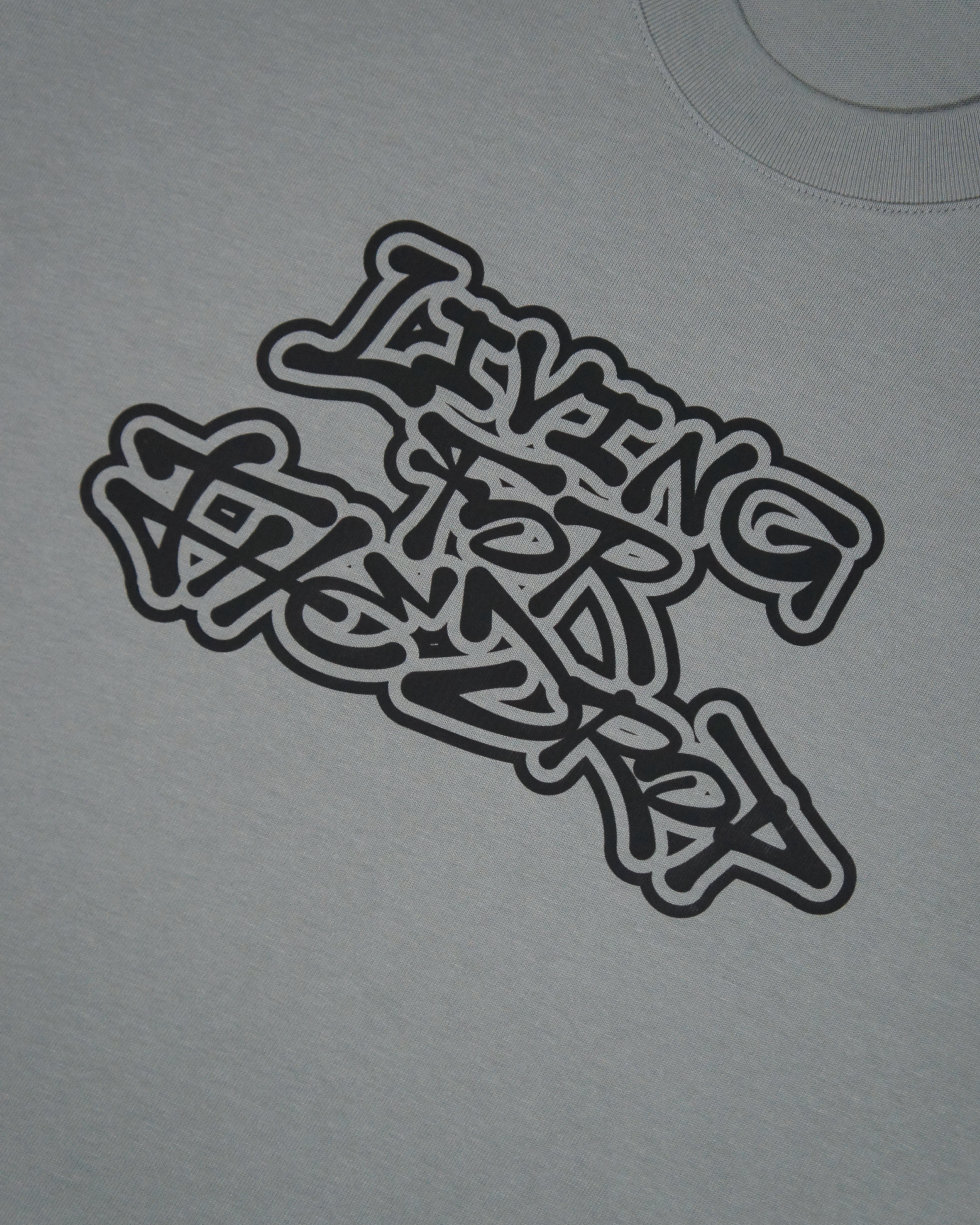 LIVING FOR THE DROP OVERSIZED TEE