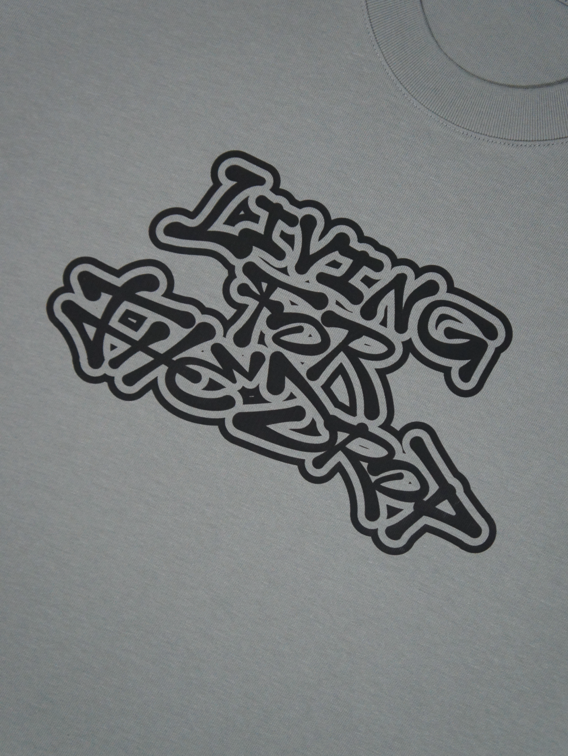 LIVING FOR THE DROP OVERSIZED TEE